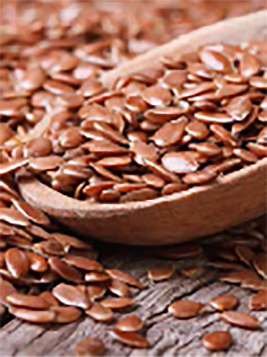 Beck & Cie. AG | Beck & Cie AG Mühle Landshut